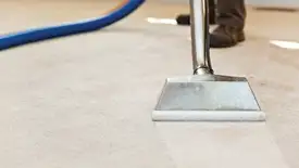 Carpet cleaning wand head gliding over a light carpet during hot-water extraction, Knoxville, TN.