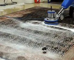 Professional rug cleaning with a rotary floor machine and shampoo foam, deep-cleaning an area rug, in Knoxville, TN.