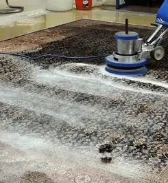 Professional rug cleaning with a rotary floor machine and shampoo foam, deep-cleaning an area rug Knoxville, TN.